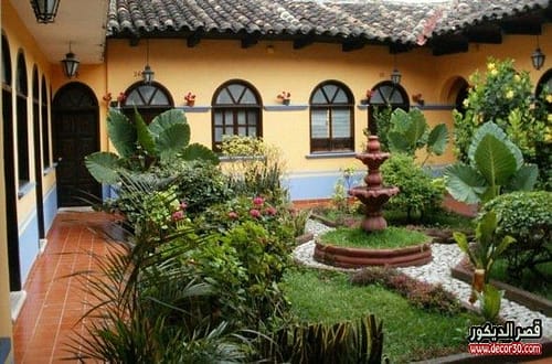 garden plants decor