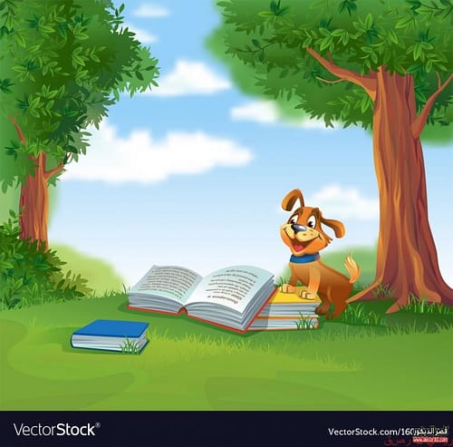اشكال ورق حائط